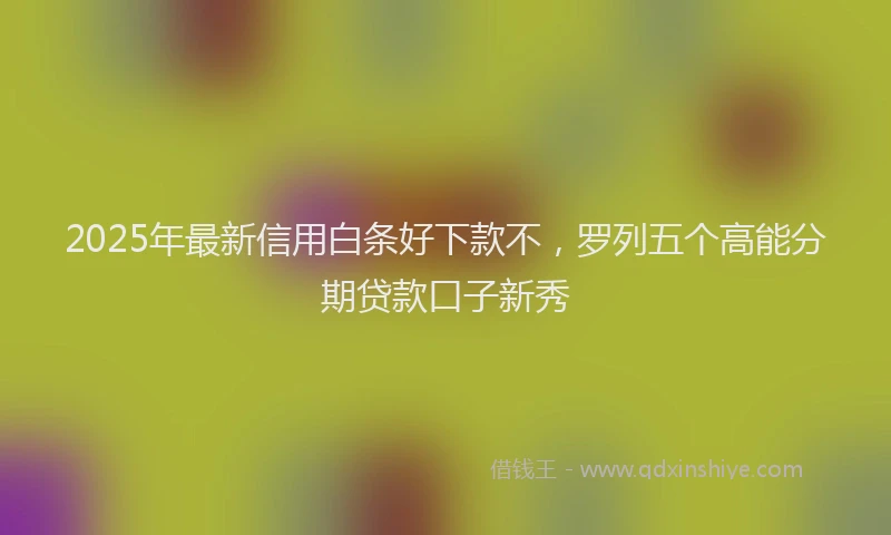 2025年最新信用白条好下款不，罗列五个高能分期贷款口子新秀