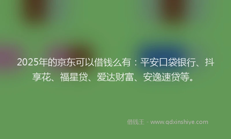 2025年的京东可以借钱么有：平安口袋银行、抖享花、福星贷、爱达财富、安逸速贷等。