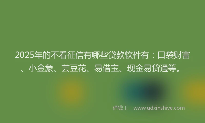 2025年的不看征信有哪些贷款软件有：口袋财富、小金象、芸豆花、易借宝、现金易贷通等。