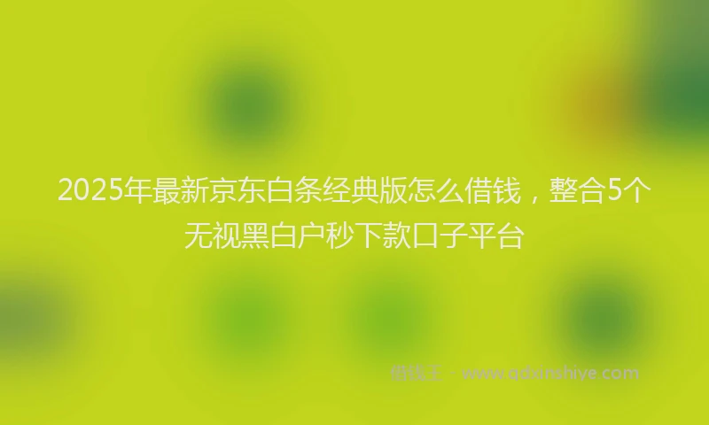 2025年最新京东白条经典版怎么借钱，整合5个无视黑白户秒下款口子平台