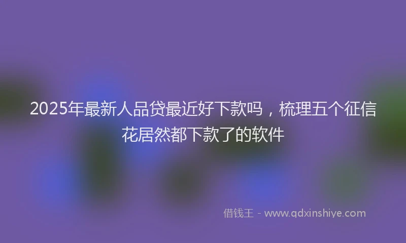 2025年最新人品贷最近好下款吗，梳理五个征信花居然都下款了的软件