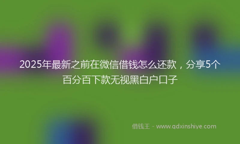 2025年最新之前在微信借钱怎么还款，分享5个百分百下款无视黑白户口子