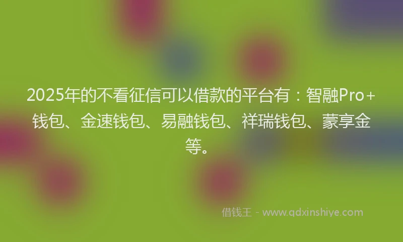 2025年的不看征信可以借款的平台有：智融Pro+钱包、金速钱包、易融钱包、祥瑞钱包、蒙享金等。