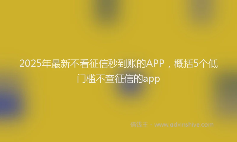 2025年最新不看征信秒到账的APP，概括5个低门槛不查征信的app