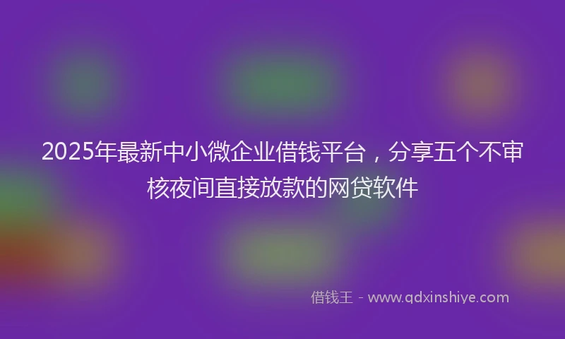 2025年最新中小微企业借钱平台，分享五个不审核夜间直接放款的网贷软件