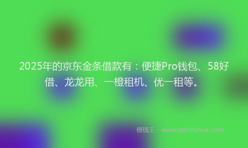 2025年的京东金条借款有：便捷Pro钱包、58好借、龙龙用、一橙租机、优一租等。