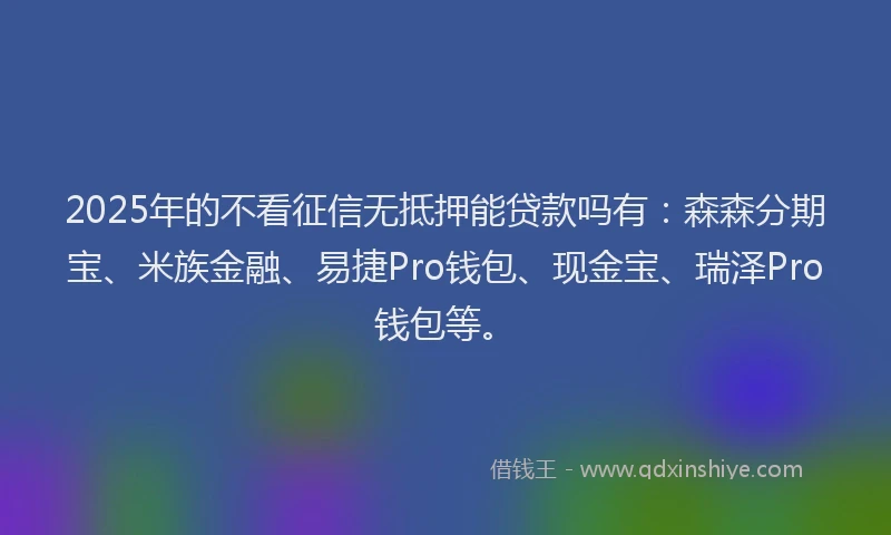 2025年的不看征信无抵押能贷款吗有：森森分期宝、米族金融、易捷Pro钱包、现金宝、瑞泽Pro钱包等。