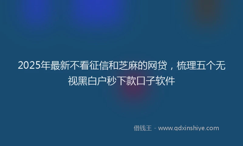 2025年最新不看征信和芝麻的网贷，梳理五个无视黑白户秒下款口子软件