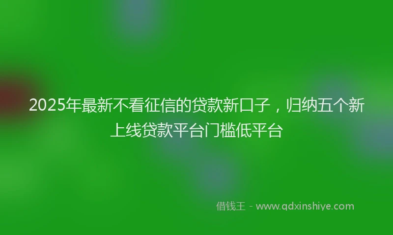 2025年最新不看征信的贷款新口子，归纳五个新上线贷款平台门槛低平台