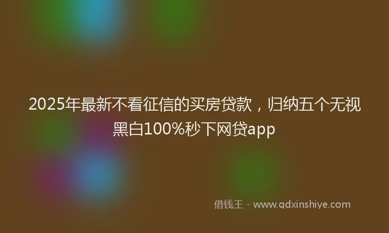 2025年最新不看征信的买房贷款，归纳五个无视黑白100%秒下网贷app