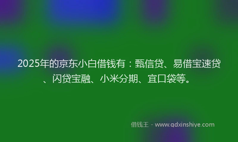 2025年的京东小白借钱有:甄信贷、易借宝速贷、闪贷宝融、小米分期、宜口袋等。