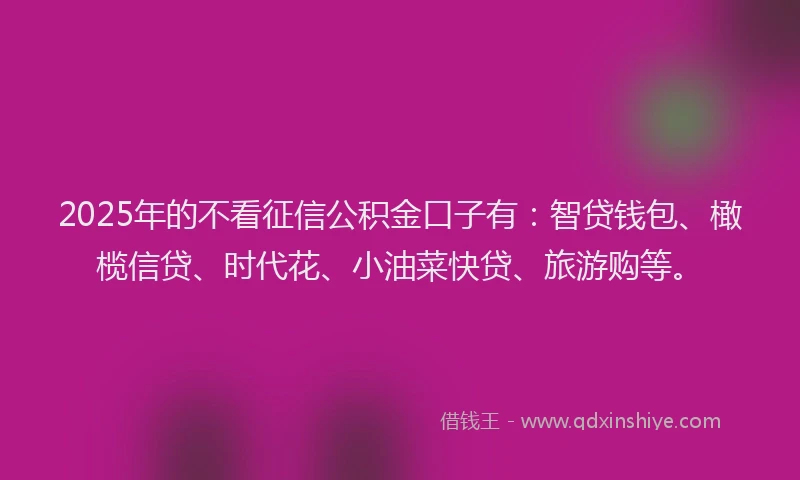 2025年的不看征信公积金口子有：智贷钱包、橄榄信贷、时代花、小油菜快贷、旅游购等。