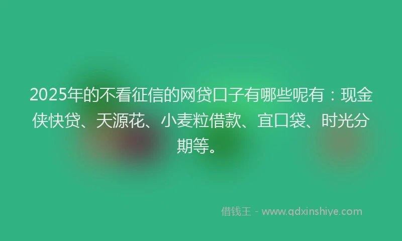 2025年的不看征信的网贷口子有哪些呢有：现金侠快贷、天源花、小麦粒借款、宜口袋、时光分期等。