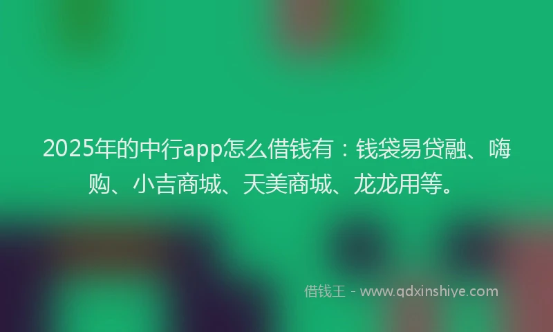 2025年的中行app怎么借钱有：钱袋易贷融、嗨购、小吉商城、天美商城、龙龙用等。