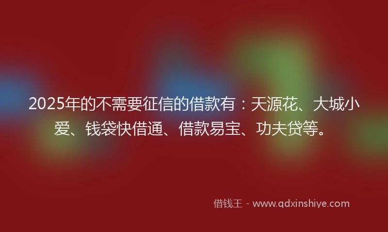 2025年的不需要征信的借款有：天源花、大城小爱、钱袋快借通、借款易宝、功夫贷等。