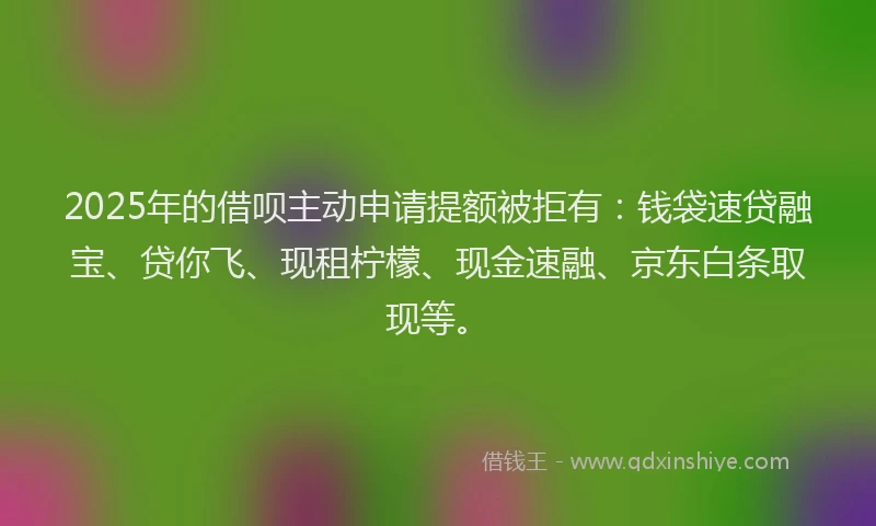 2025年的借呗主动申请提额被拒有：钱袋速贷融宝、贷你飞、现租柠檬、现金速融、京东白条取现等。