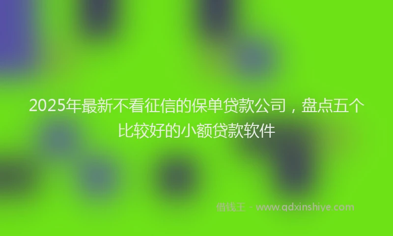 2025年最新不看征信的保单贷款公司，盘点五个比较好的小额贷款软件