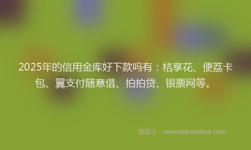 2025年的信用金库好下款吗有：桔享花、便荔卡包、翼支付随意借、拍拍贷、银票网等。