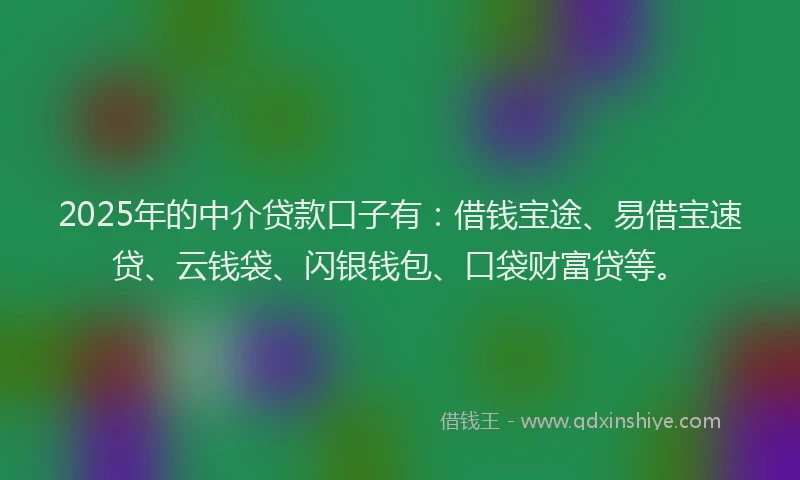 2025年的中介贷款口子有:借钱宝途、易借宝速贷、云钱袋、闪银钱包、口袋财富贷等。