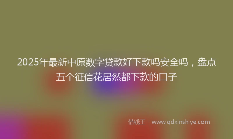 2025年最新中原数字贷款好下款吗安全吗，盘点五个征信花居然都下款的口子
