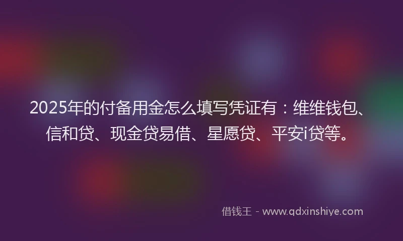 2025年的付备用金怎么填写凭证有：维维钱包、信和贷、现金贷易借、星愿贷、平安i贷等。