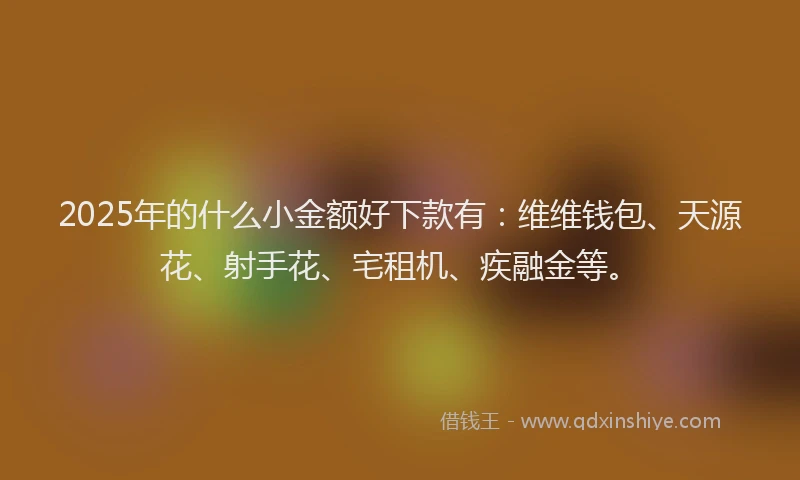 2025年的什么小金额好下款有：维维钱包、天源花、射手花、宅租机、疾融金等。