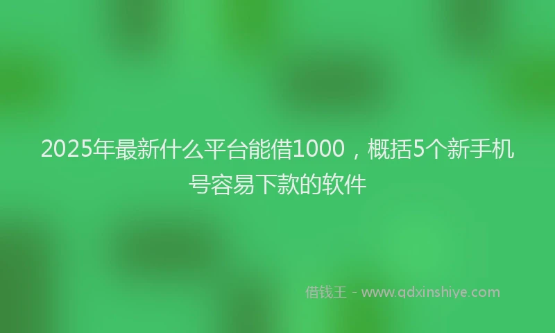 2025年最新什么平台能借1000，概括5个新手机号容易下款的软件