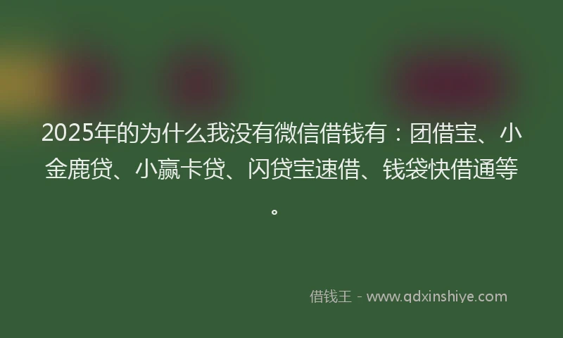 2025年的为什么我没有微信借钱有：团借宝、小金鹿贷、小赢卡贷、闪贷宝速借、钱袋快借通等。