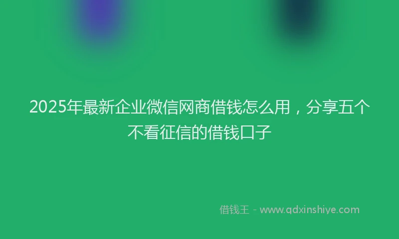 2025年最新企业微信网商借钱怎么用，分享五个不看征信的借钱口子