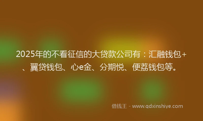 2025年的不看征信的大贷款公司有：汇融钱包+、翼贷钱包、心e金、分期悦、便荔钱包等。