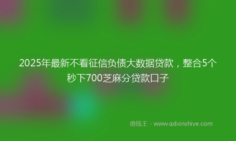 2025年最新不看征信负债大数据贷款，整合5个秒下700芝麻分贷款口子