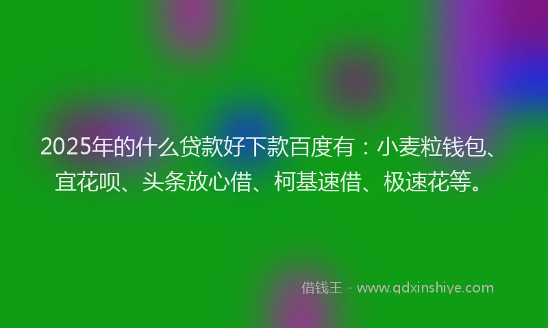 2025年的什么贷款好下款百度有：小麦粒钱包、宜花呗、头条放心借、柯基速借、极速花等。