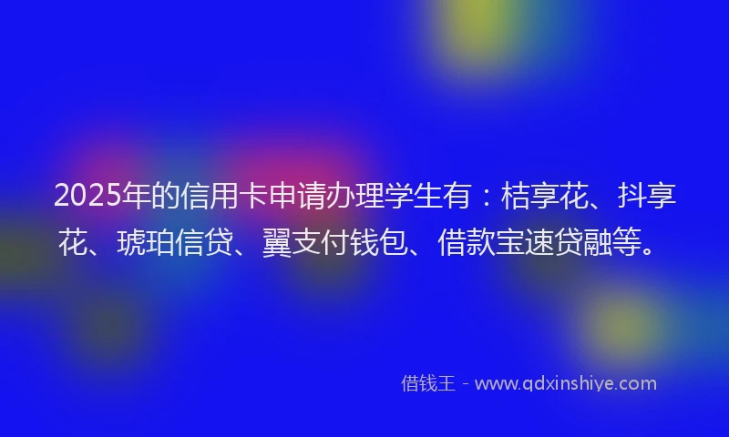 2025年的信用卡申请办理学生有：桔享花、抖享花、琥珀信贷、翼支付钱包、借款宝速贷融等。