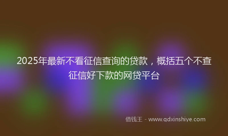 2025年最新不看征信查询的贷款，概括五个不查征信好下款的网贷平台