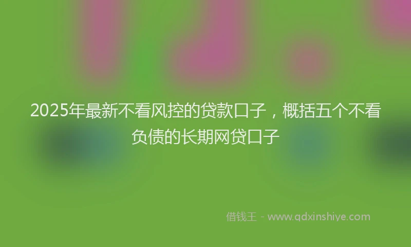 2025年最新不看风控的贷款口子，概括五个不看负债的长期网贷口子