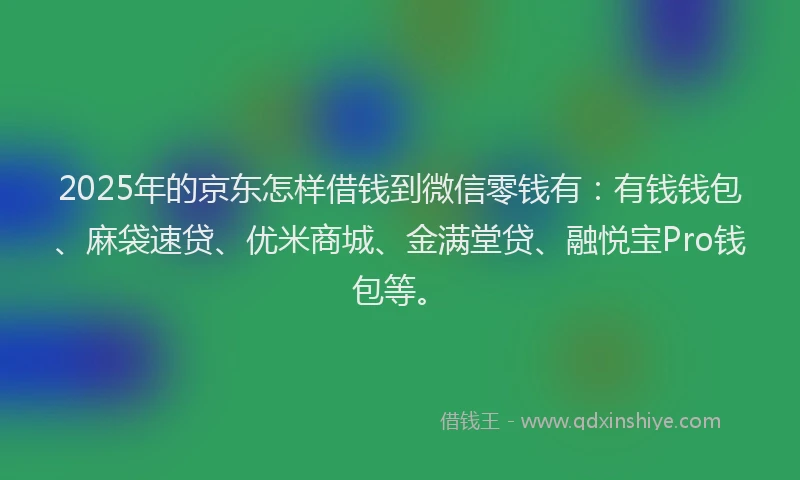 2025年的京东怎样借钱到微信零钱有：有钱钱包、麻袋速贷、优米商城、金满堂贷、融悦宝Pro钱包等。