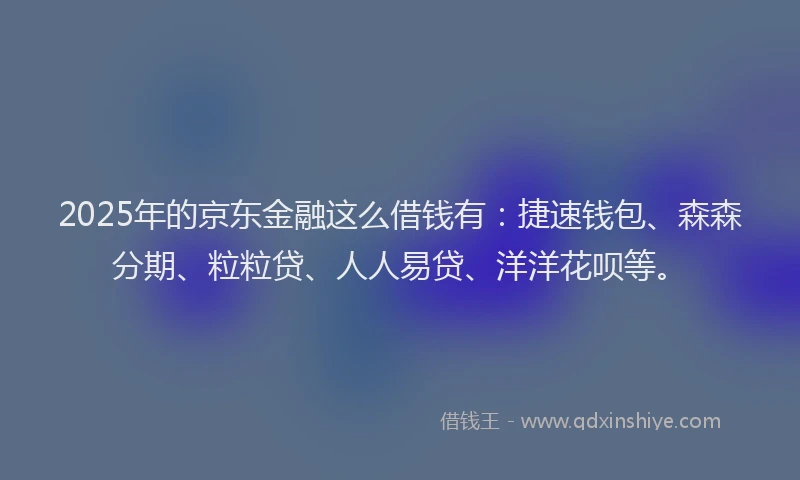 2025年的京东金融这么借钱有：捷速钱包、森森分期、粒粒贷、人人易贷、洋洋花呗等。