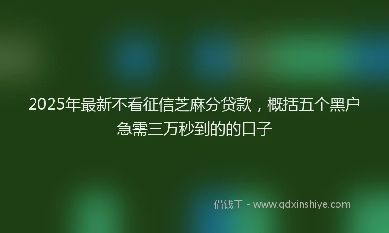 2025年最新不看征信芝麻分贷款，概括五个黑户急需三万秒到的的口子
