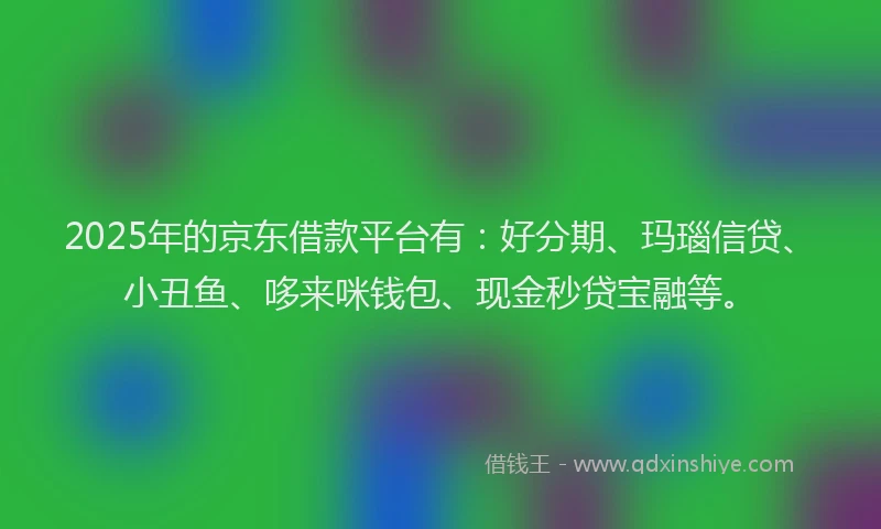 2025年的京东借款平台有：好分期、玛瑙信贷、小丑鱼、哆来咪钱包、现金秒贷宝融等。