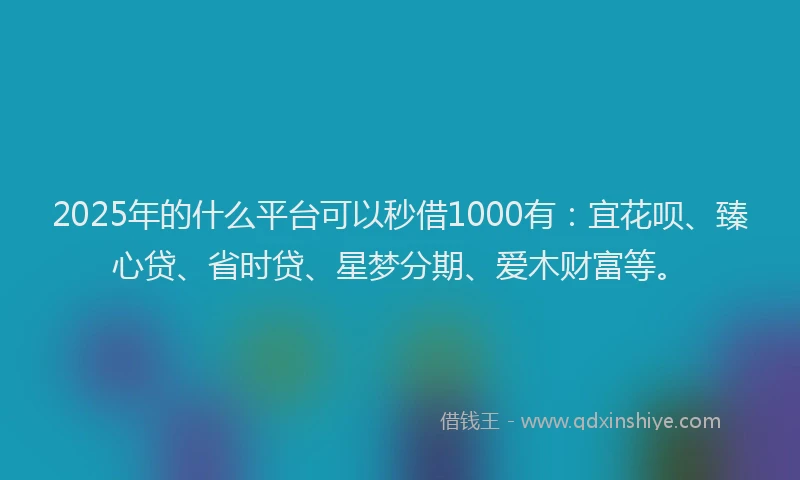 2025年的什么平台可以秒借1000有：宜花呗、臻心贷、省时贷、星梦分期、爱木财富等。