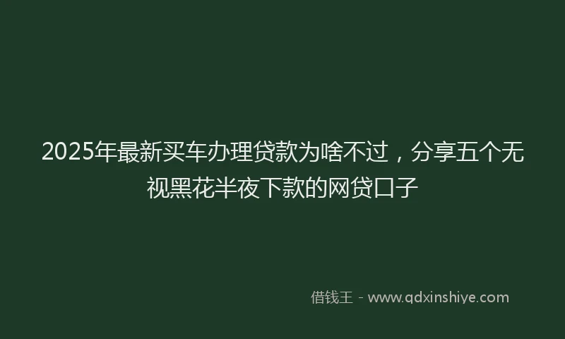 2025年最新买车办理贷款为啥不过，分享五个无视黑花半夜下款的网贷口子