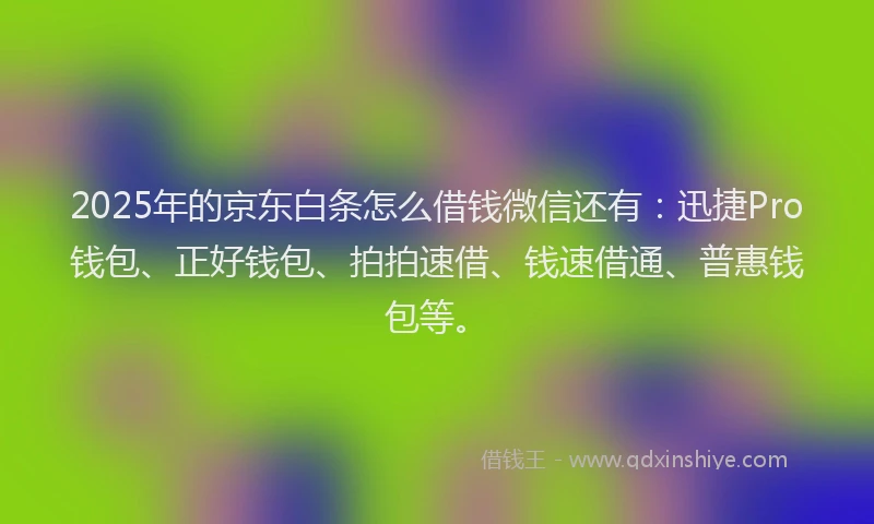 2025年的京东白条怎么借钱微信还有：迅捷Pro钱包、正好钱包、拍拍速借、钱速借通、普惠钱包等。