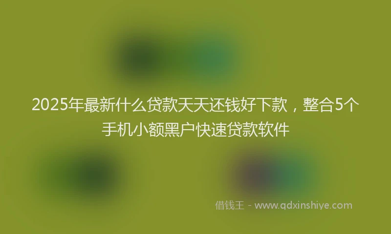 2025年最新什么贷款天天还钱好下款，整合5个手机小额黑户快速贷款软件