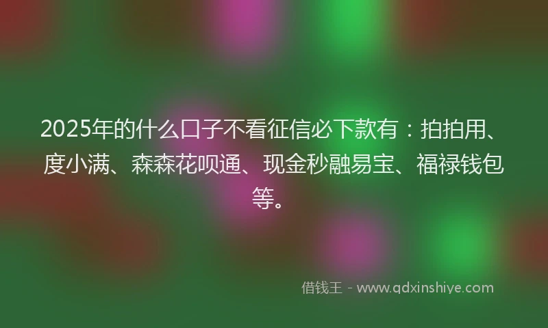 2025年的什么口子不看征信必下款有：拍拍用、度小满、森森花呗通、现金秒融易宝、福禄钱包等。