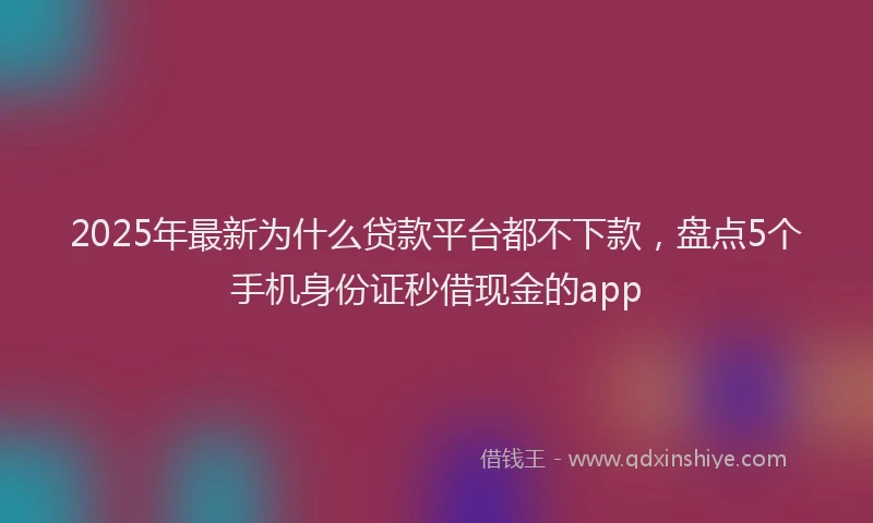2025年最新为什么贷款平台都不下款，盘点5个手机身份证秒借现金的app