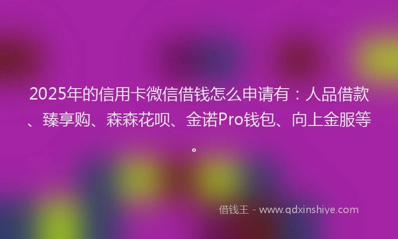 2025年的信用卡微信借钱怎么申请有：人品借款、臻享购、森森花呗、金诺Pro钱包、向上金服等。