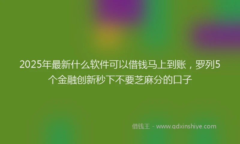 2025年最新什么软件可以借钱马上到账，罗列5个金融创新秒下不要芝麻分的口子