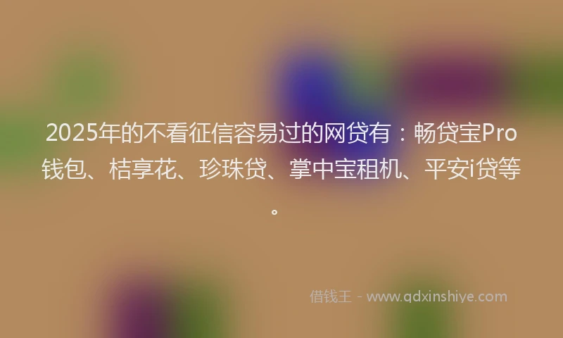 2025年的不看征信容易过的网贷有：畅贷宝Pro钱包、桔享花、珍珠贷、掌中宝租机、平安i贷等。