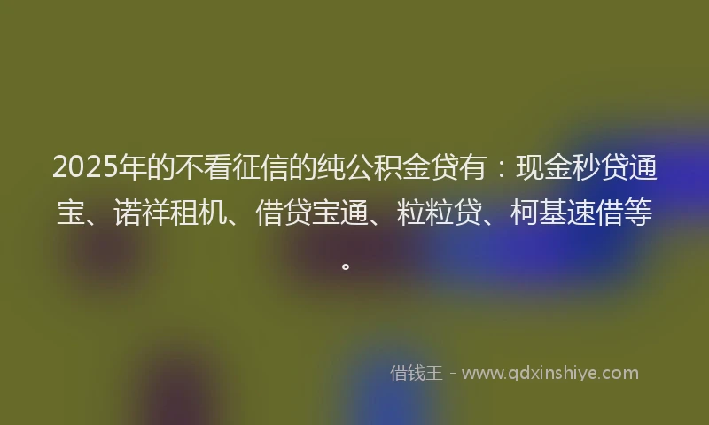 2025年的不看征信的纯公积金贷有：现金秒贷通宝、诺祥租机、借贷宝通、粒粒贷、柯基速借等。