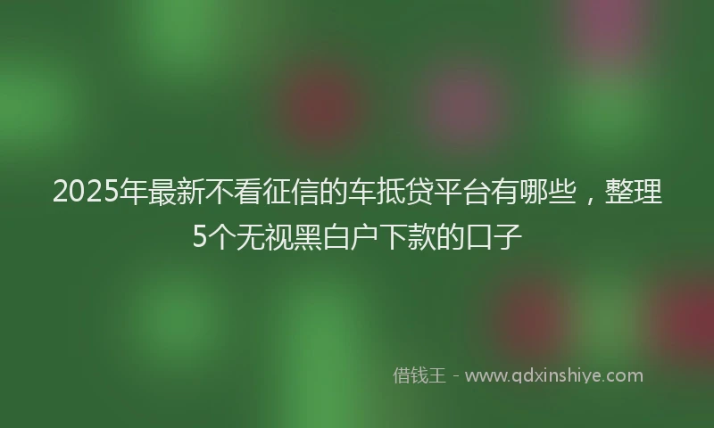 2025年最新不看征信的车抵贷平台有哪些，整理5个无视黑白户下款的口子
